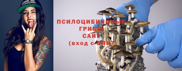 мет Абинск