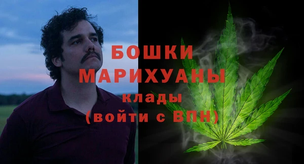 сатива Абаза