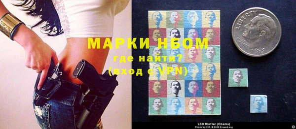 крисы Алзамай