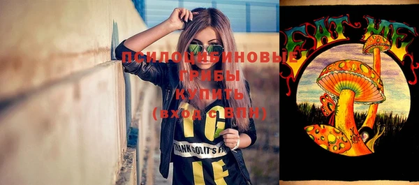 дурь Коряжма
