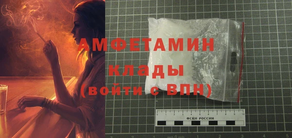 сатива Абаза