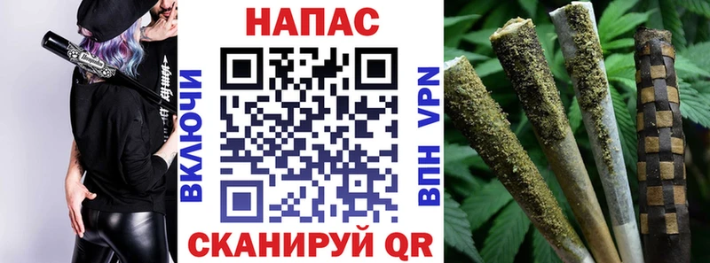 как найти   Покачи  Каннабис сатива 